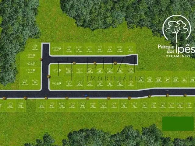 Terreno venda em Região Geográfica Imediata de Joinville, Schroeder