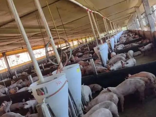 Terreno venda em Região Geográfica Imediata de Concórdia, Seara