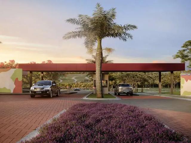 Terreno venda em Região Geográfica Imediata de Goiânia, Senador Canedo