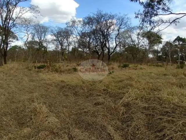 Terreno venda em Região Imediata de Ribeirão Preto, Região Metropolitana de Ribeirão Preto
