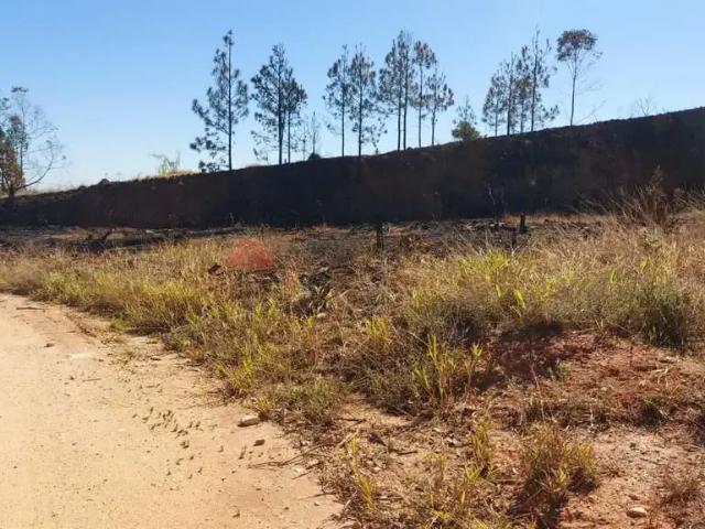 Terreno venda em Região Imediata de Ribeirão Preto, Região Metropolitana de Ribeirão Preto