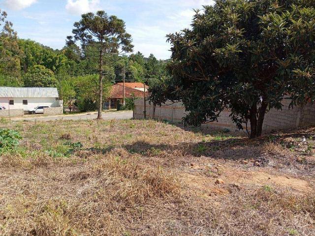 Terreno venda em Jardim Parque das Palmeiras, Serra Negra