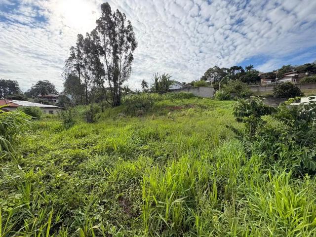 Terreno venda em Região Imediata de Amparo, Serra Negra
