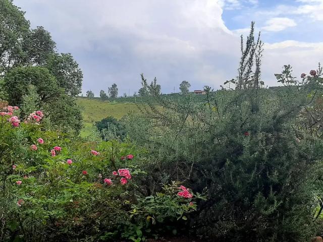 Terreno venda em Região Imediata de Amparo, Serra Negra