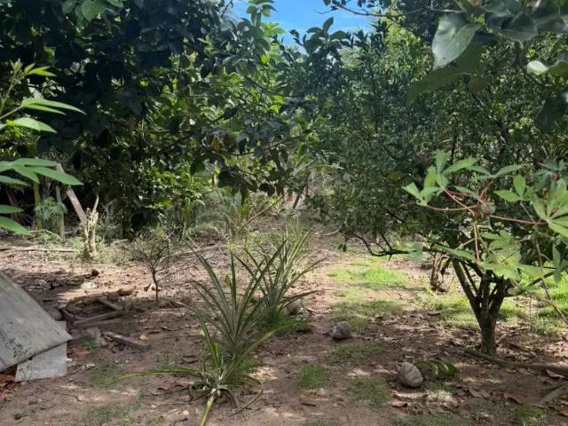 Terreno venda em Região Geográfica Imediata de Vitória, Região Metropolitana da Grande Vitória