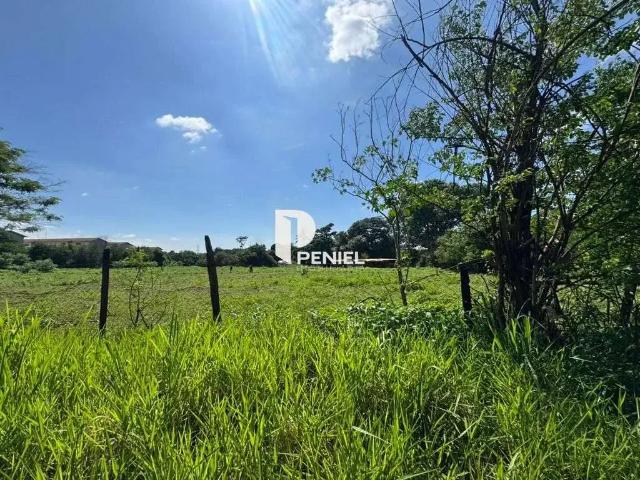 Terreno venda em Região Imediata de Ribeirão Preto, Região Metropolitana de Ribeirão Preto