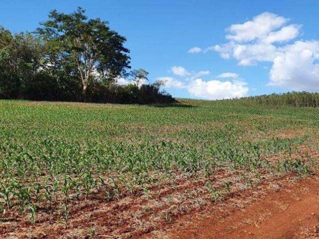 Terreno venda em Região Geográfica Imediata de Londrina, Sertanópolis
