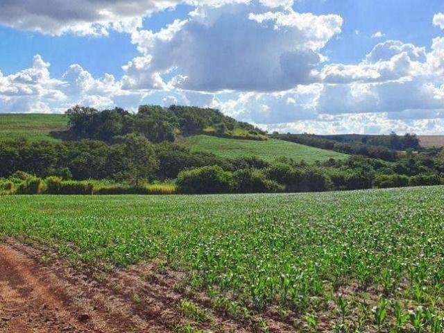 Terreno venda em Sertanópolis, Região Geográfica Intermediária de Londrina
