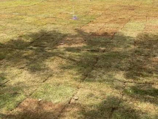 Terreno venda em Sertanópolis, Região Geográfica Intermediária de Londrina