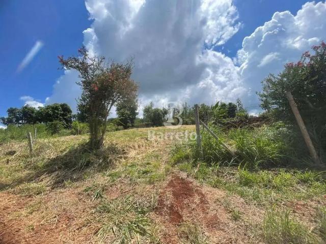 Terreno venda em Região Geográfica Imediata de Londrina, Sertanópolis