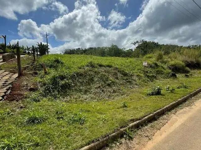 Terreno venda em Região Geográfica Imediata de Brusque, Brusque