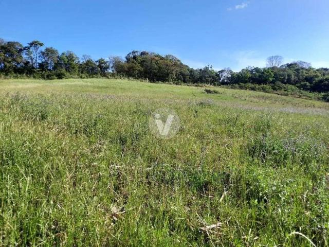 Terreno venda em Região Geográfica Imediata de Erechim, Barão de Cotegipe