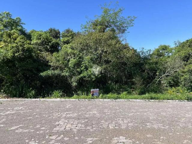 Terreno venda em Região Geográfica Imediata de Santa Maria, Silveira Martins