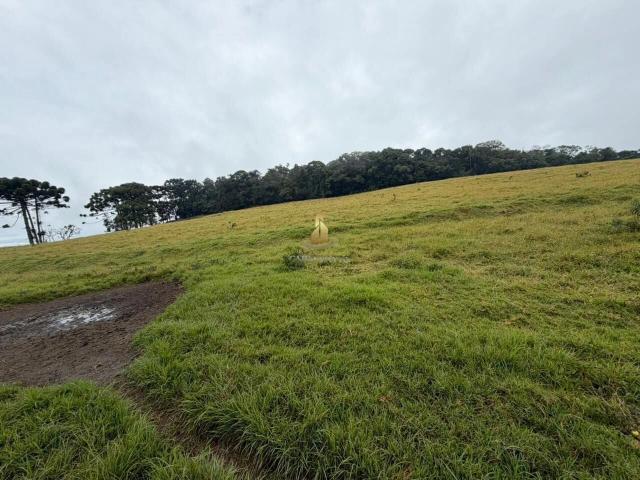 Terreno venda em Região Imediata de Bragança Paulista, Região Sudeste