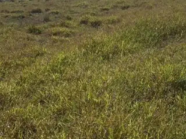 Terreno venda em Região Imediata de Bragança Paulista, Região Sudeste
