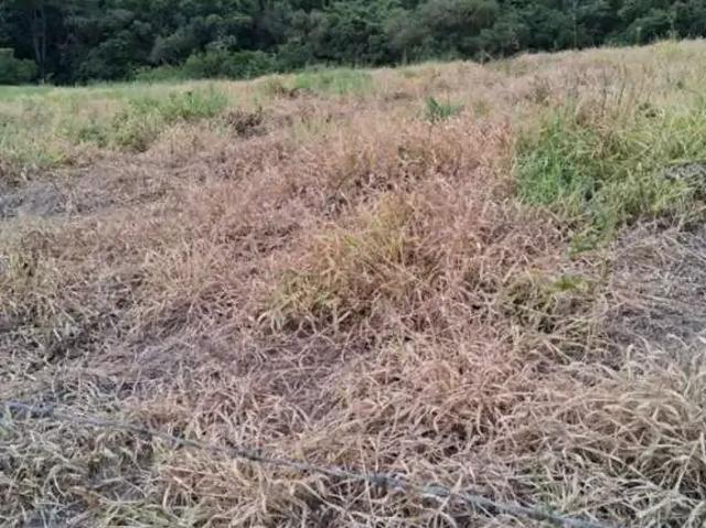 Terreno venda em Região Imediata de Bragança Paulista, Região Sudeste
