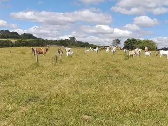 Terreno venda em Região Imediata de Sorocaba, Região Metropolitana de Sorocaba