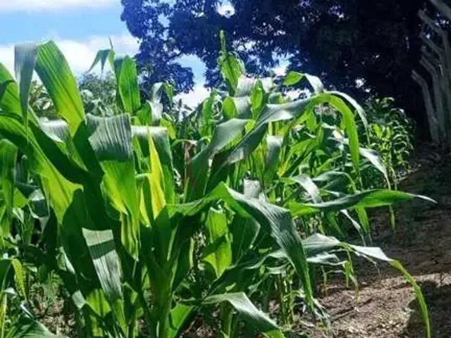 Terreno venda em Região Imediata de Sorocaba, Região Metropolitana de Sorocaba