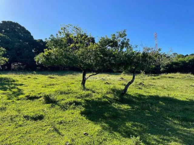 Terreno venda em Região Imediata de Sorocaba, Região Metropolitana de Sorocaba