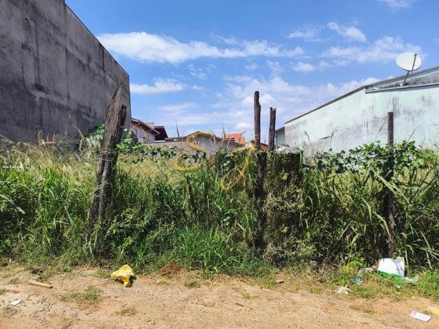 Terreno venda em Amélia, Sumaré