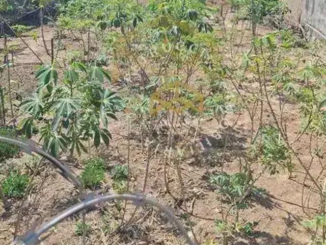 Terreno venda em Região Imediata de Campinas, Região Metropolitana de Campinas