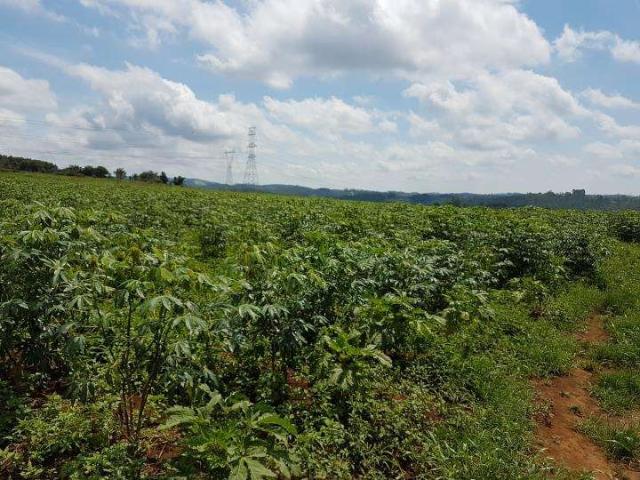Sítio e chácara venda em Região Imediata de São Paulo, Região Metropolitana de São Paulo