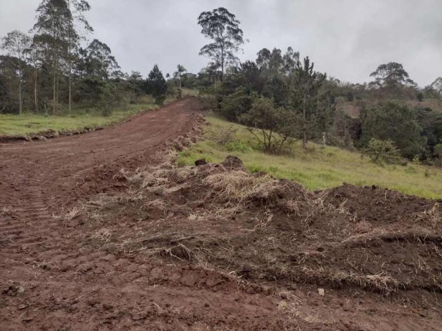 Terreno venda em Jardim Gardênia Azul, Suzano