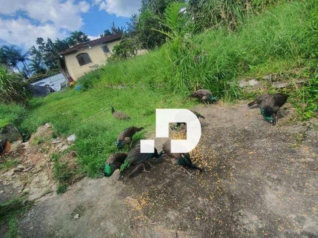Terreno venda em Vila Nova Amorim, Suzano