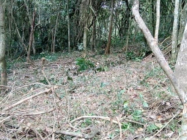Terreno venda em Jardim Ikeda, Suzano