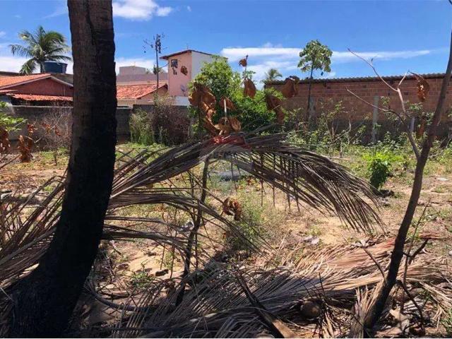 Terreno venda em Região Geográfica Imediata de Barreiros-Sirinhaém, Tamandaré