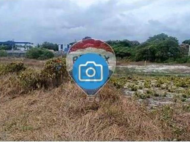 Terreno venda em Tamandaré