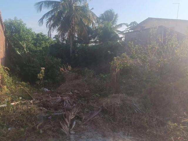 Terreno venda em Tamandaré