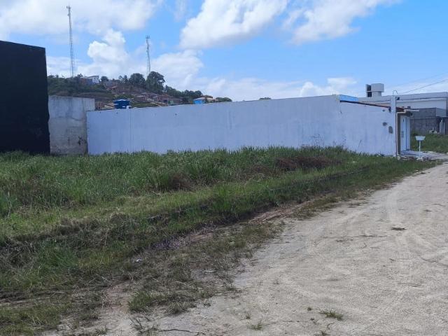 Terreno venda em Tamandaré