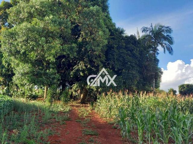 Terreno venda em Região Geográfica Imediata de Garanhuns, Saloa
