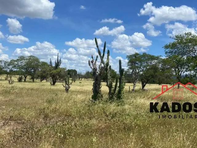 Terreno venda em Região Geográfica Imediata de Feira de Santana, Região Metropolitana de Feira de Santana