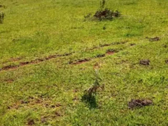Terreno venda em Região Imediata de Tatuí, Região Metropolitana de Sorocaba