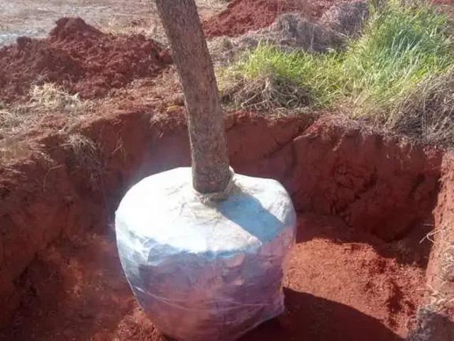 Terreno venda em Região Imediata de Tatuí, Região Metropolitana de Sorocaba