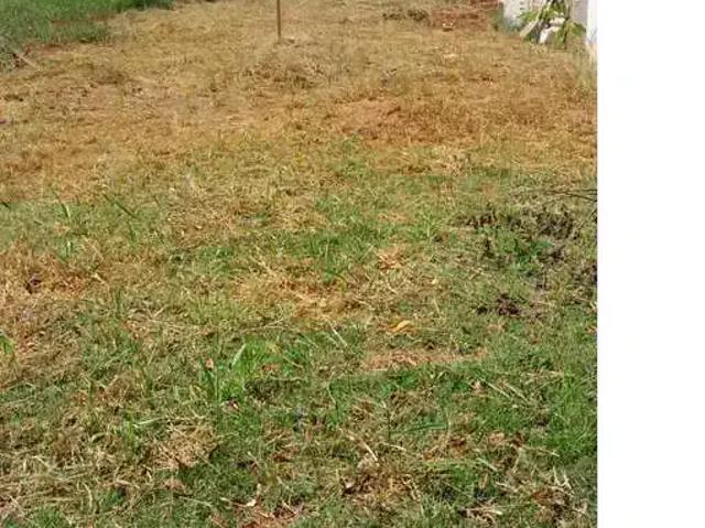 Terreno venda em Região Imediata de Tatuí, Região Metropolitana de Sorocaba