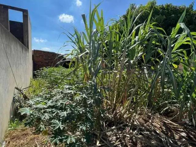 Terreno venda em Região Imediata de Tatuí, Região Metropolitana de Sorocaba
