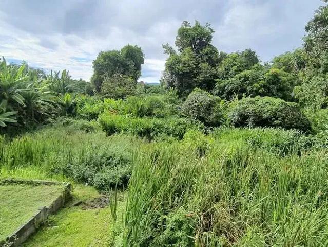 Terreno venda em Região Imediata de Taubaté-Pindamonhangaba, Região Metropolitana do Vale do Paraíba e Litoral Norte
