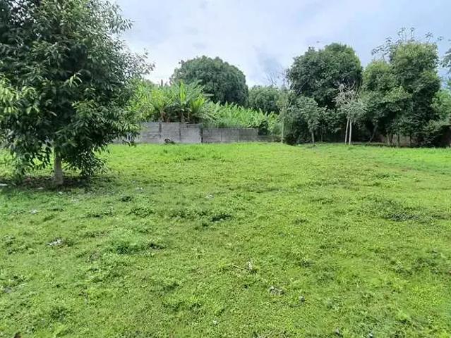 Terreno venda em Região Imediata de Taubaté-Pindamonhangaba, Região Metropolitana do Vale do Paraíba e Litoral Norte