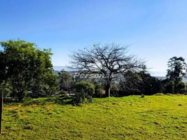 Terreno venda em Região Imediata de Barretos, Barretos