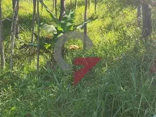 Terreno venda em Taubaté, Região Geográfica Intermediária de São José dos Campos