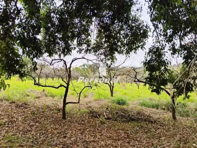 Terreno venda em Botucatu