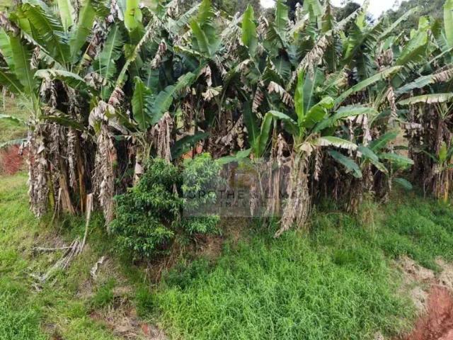 Terreno venda em Região Imediata de Taubaté-Pindamonhangaba, Região Metropolitana do Vale do Paraíba e Litoral Norte