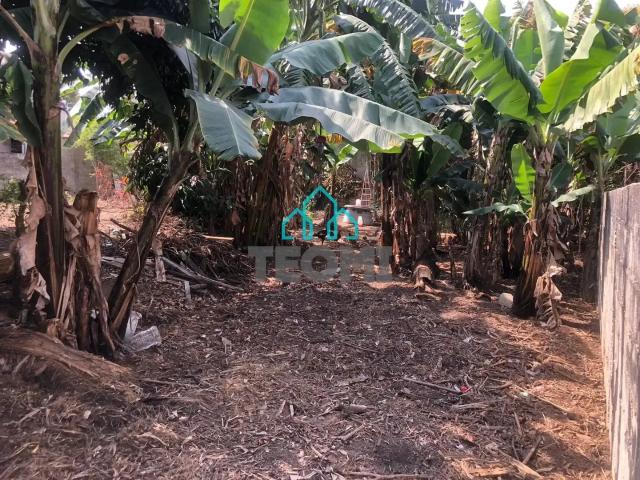 Terreno venda em Taubaté, Região Geográfica Intermediária de São José dos Campos