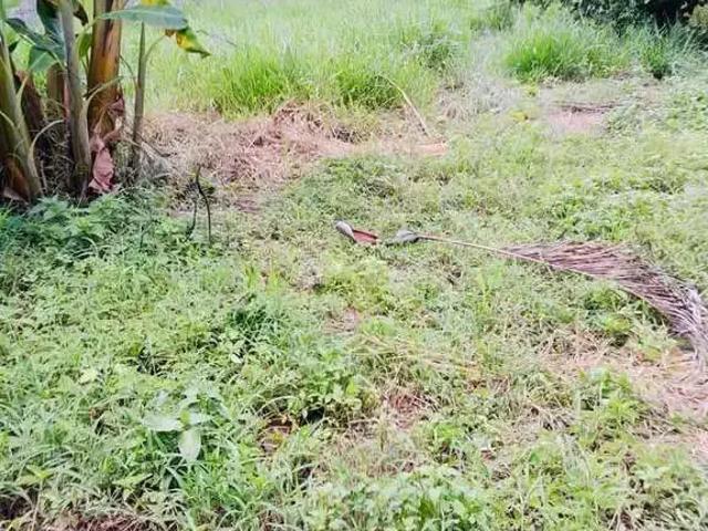 Terreno venda em Piracangaguá, Taubaté