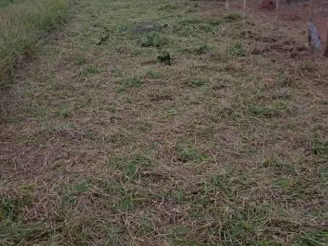 Terreno venda em Piracangaguá, Taubaté
