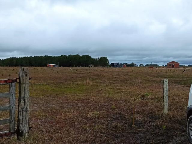 Terreno venda em Região Geográfica Imediata de Porto Alegre, Tavares