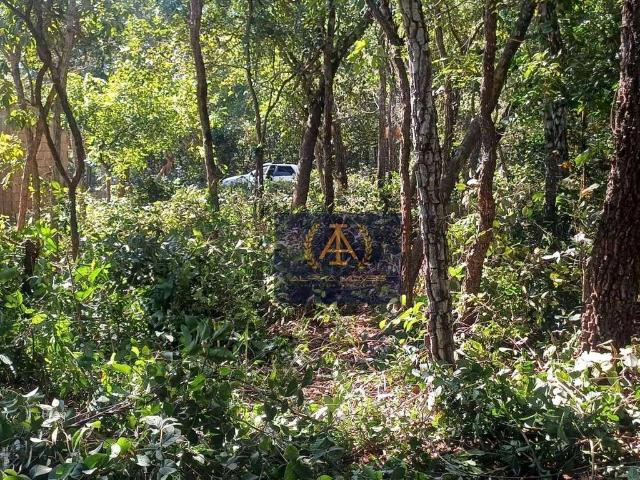 Terreno venda em Terenos